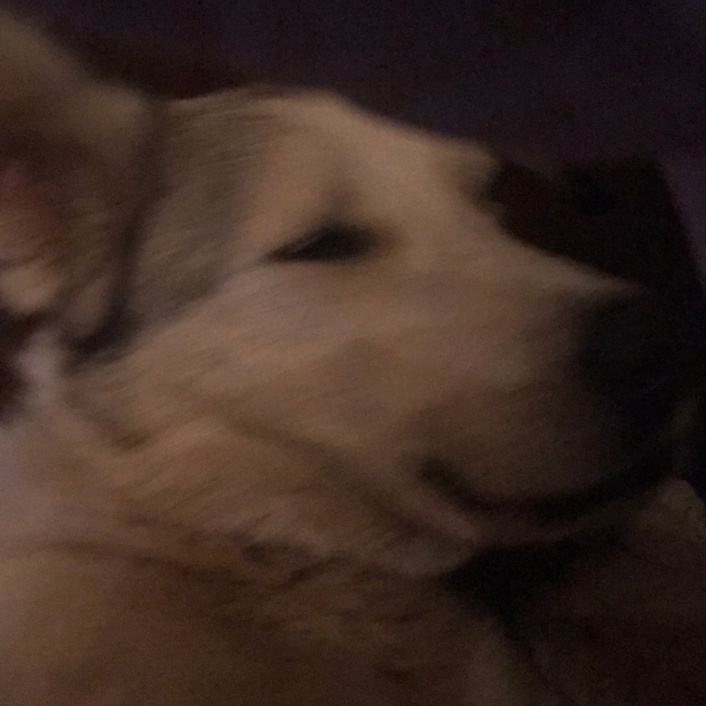 Meet your Posher, Jo ann